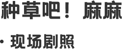 現(xiàn)場劇照