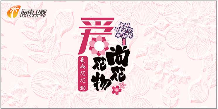 海南衛視愛尚花花物