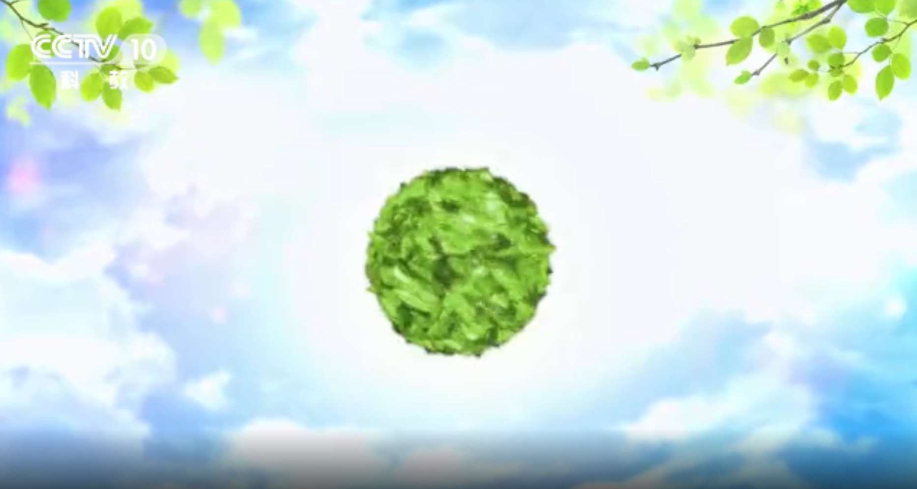 央視案例